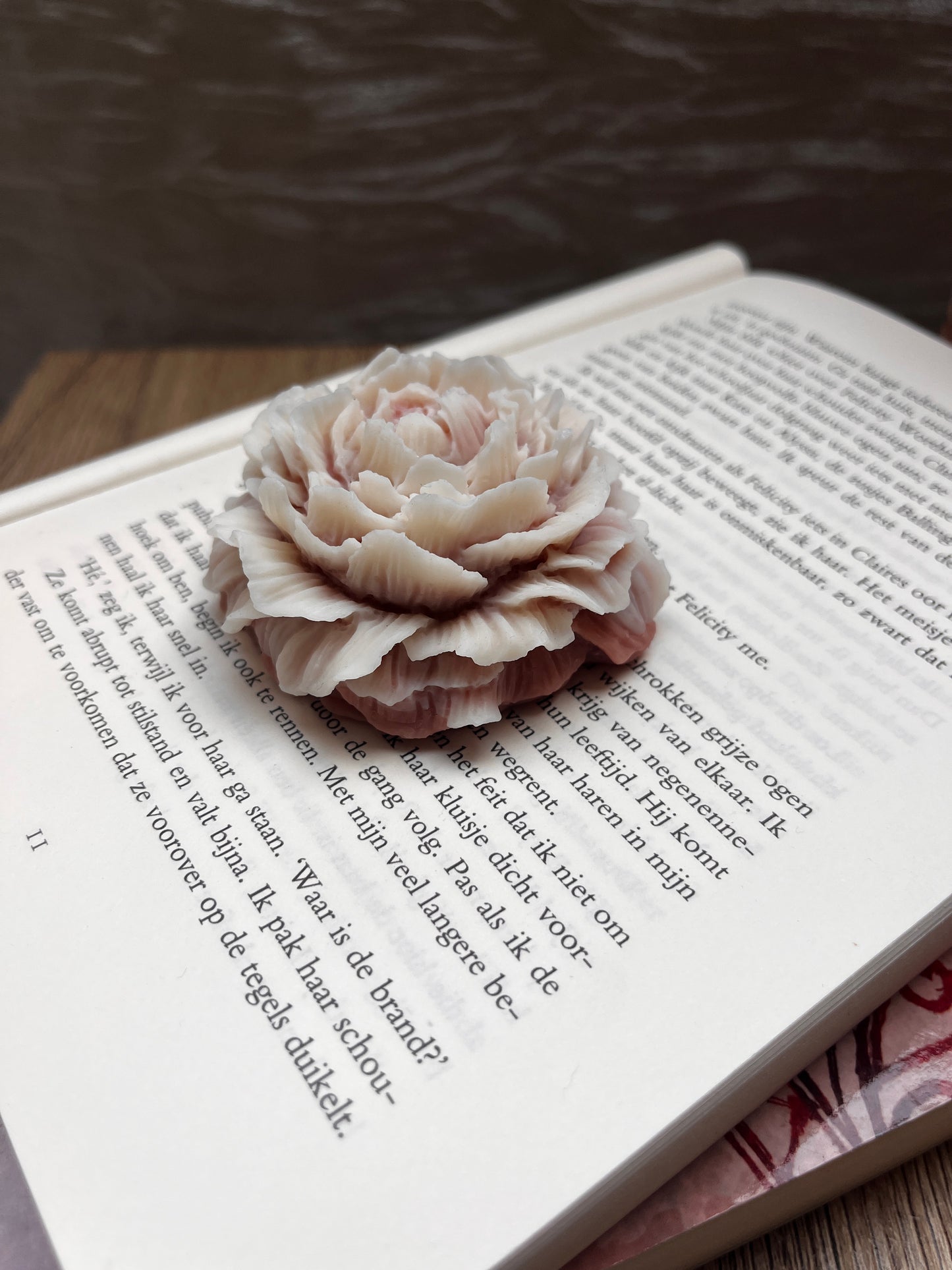 Rozen kaars
