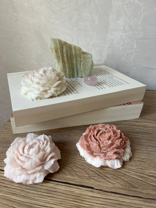 Rozen kaars